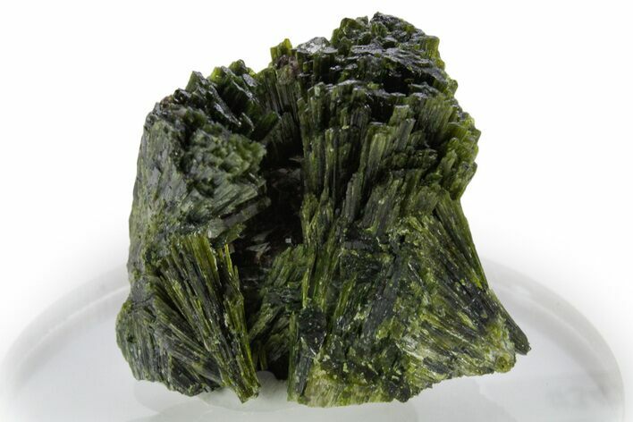 Lustrous Green Epidote Crystal Spray - Peru #347881